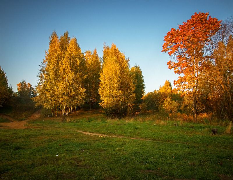 фото превью