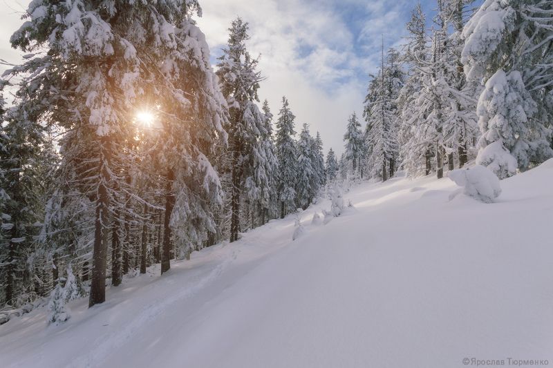 *** фото превью