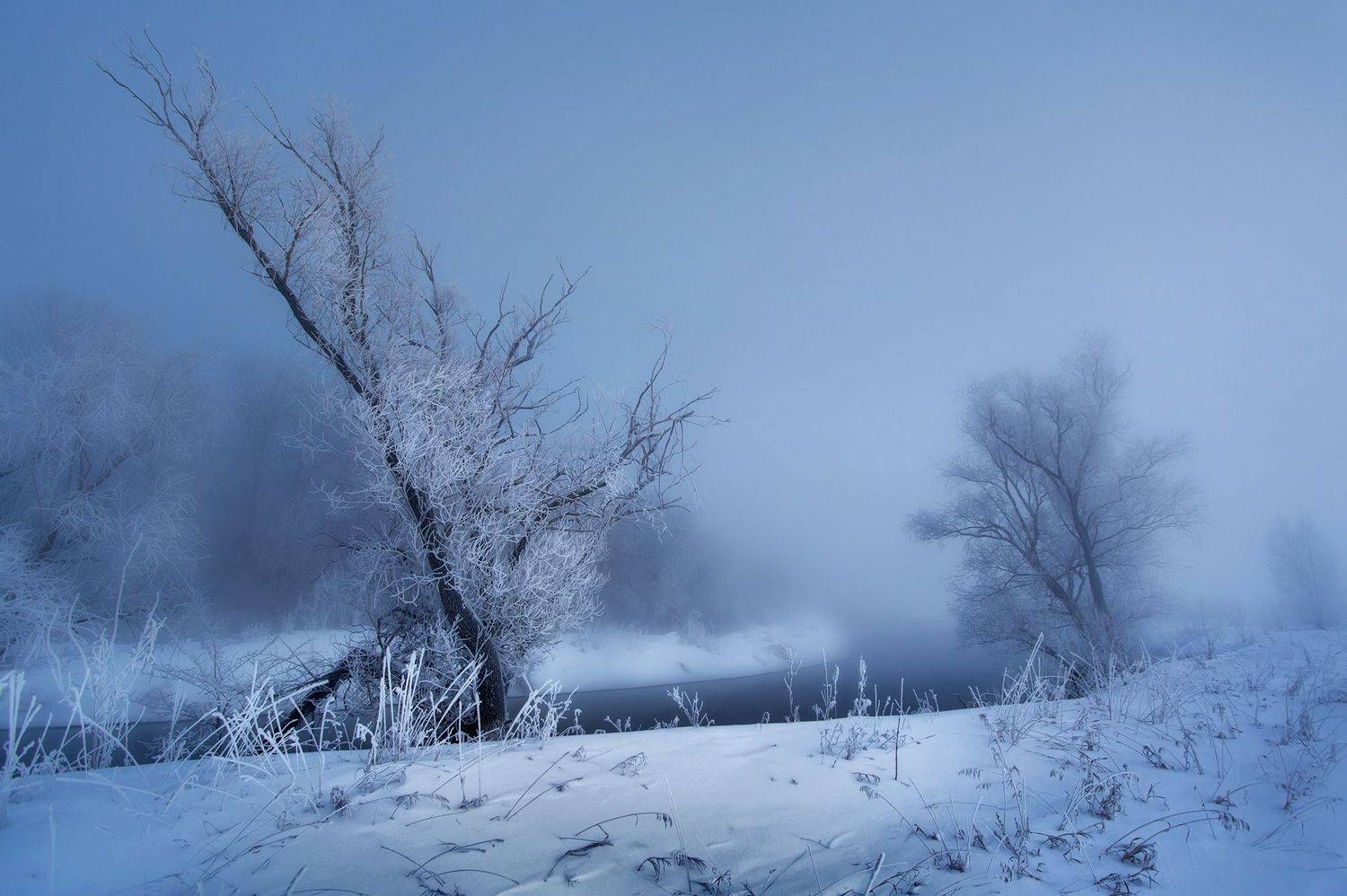 , Vyacheslav Lozhkin