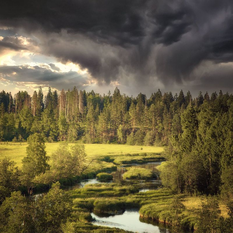 summer time.. фото превью