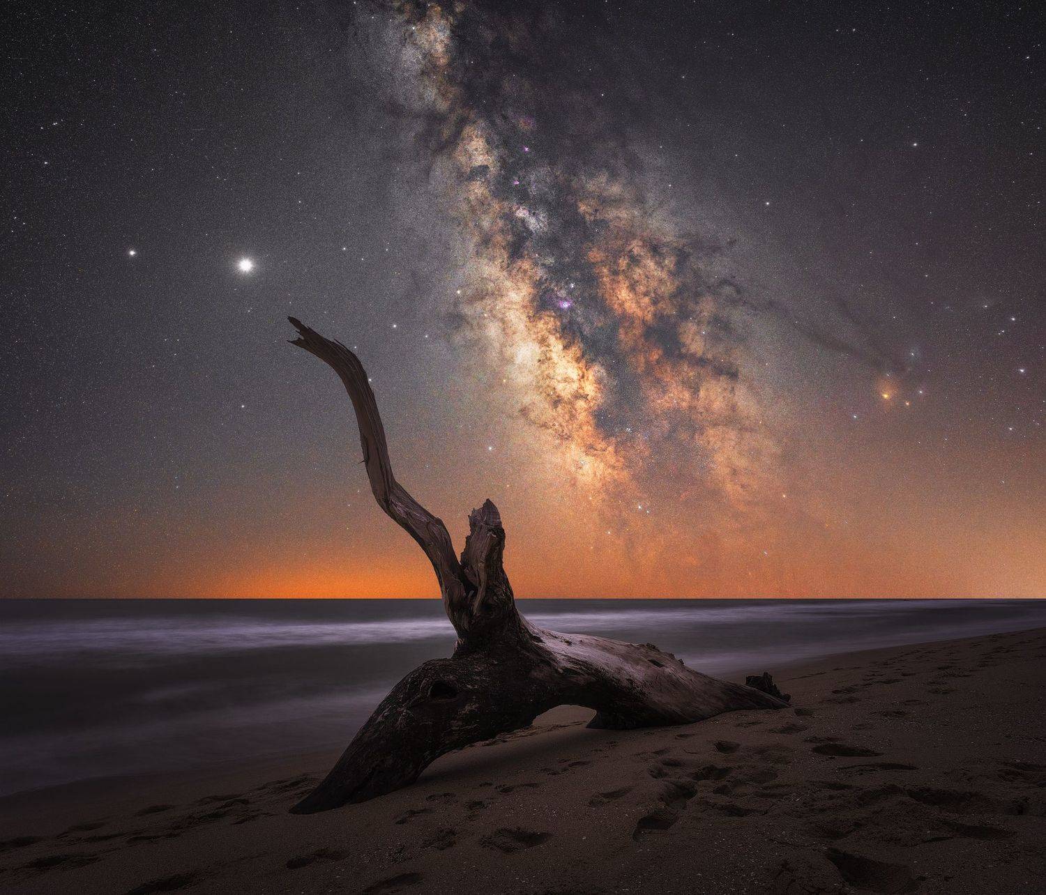 , Михаил Минков