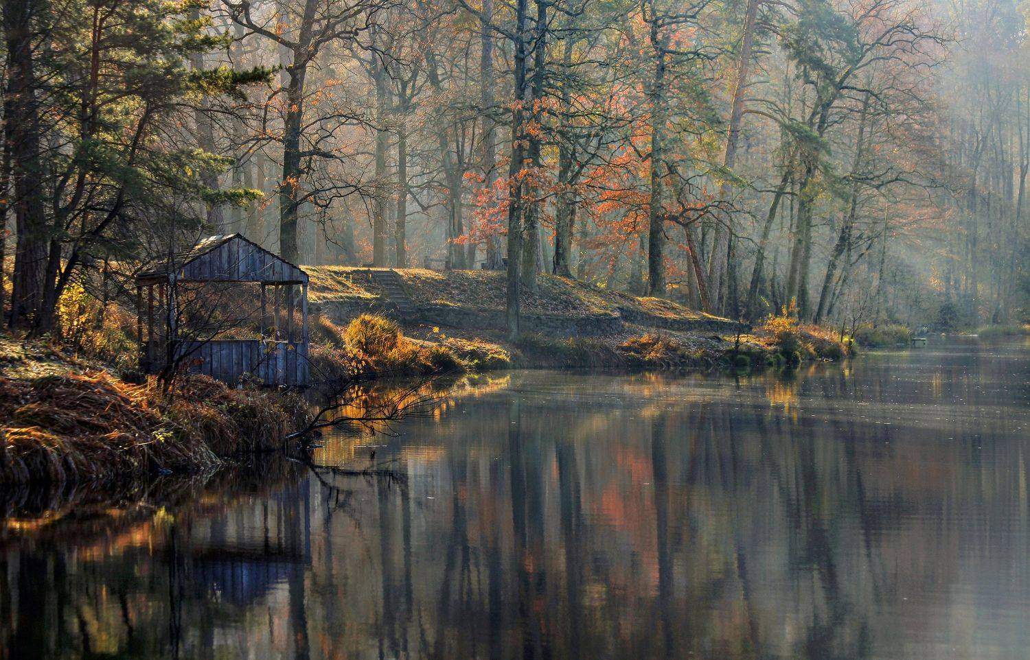 , Милокост Алексей