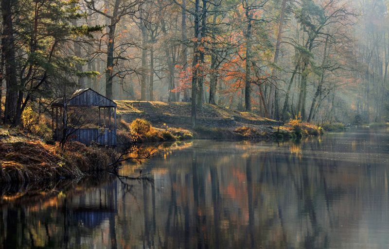 Утро в парке фото превью