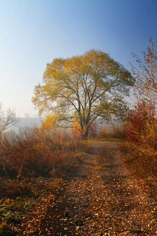 осень, октябрь * фото превью