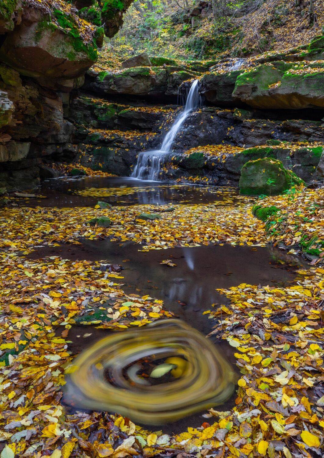 autumn,landscapes,nature, viktor demidov