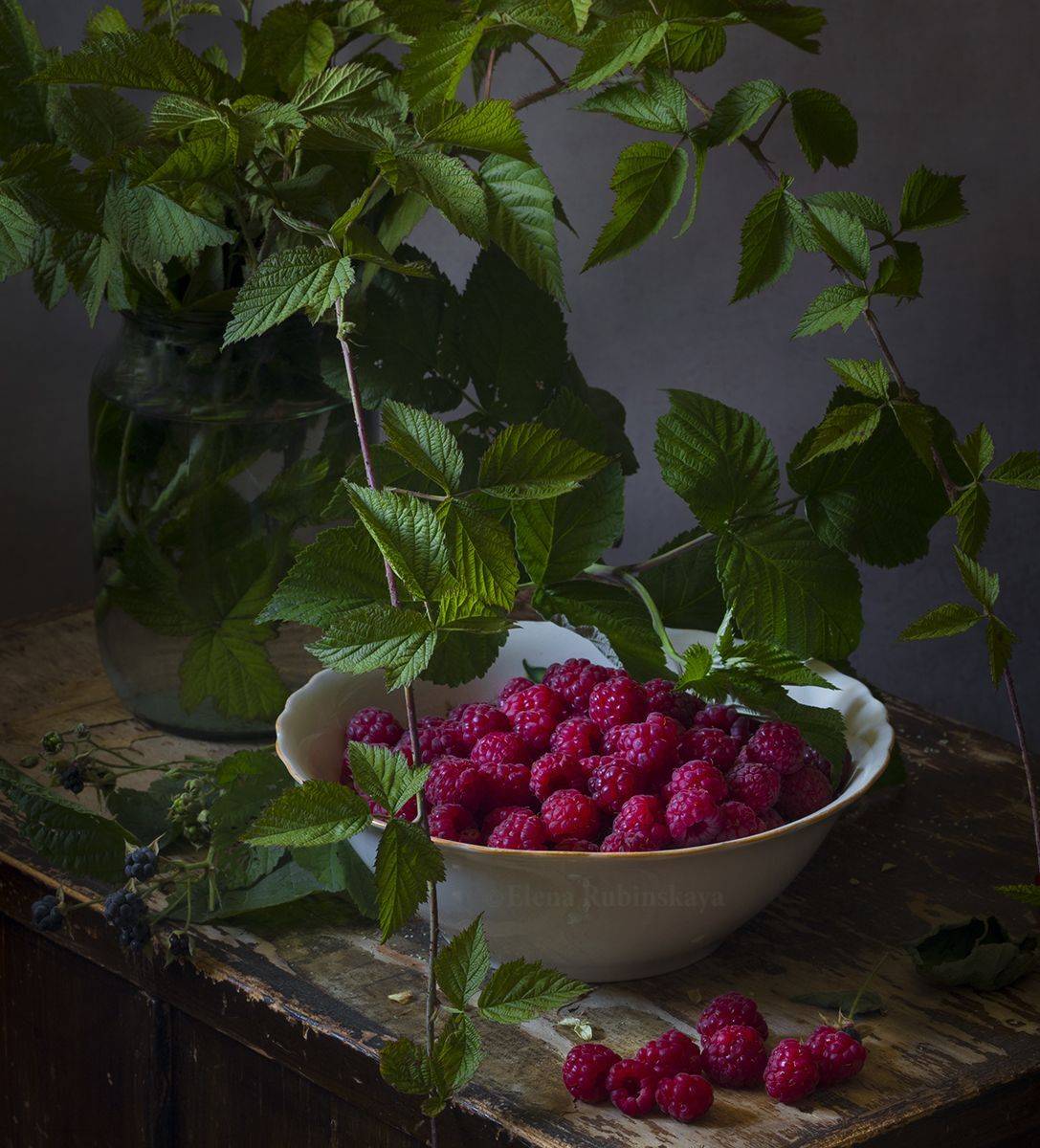 , Елена Рубинская