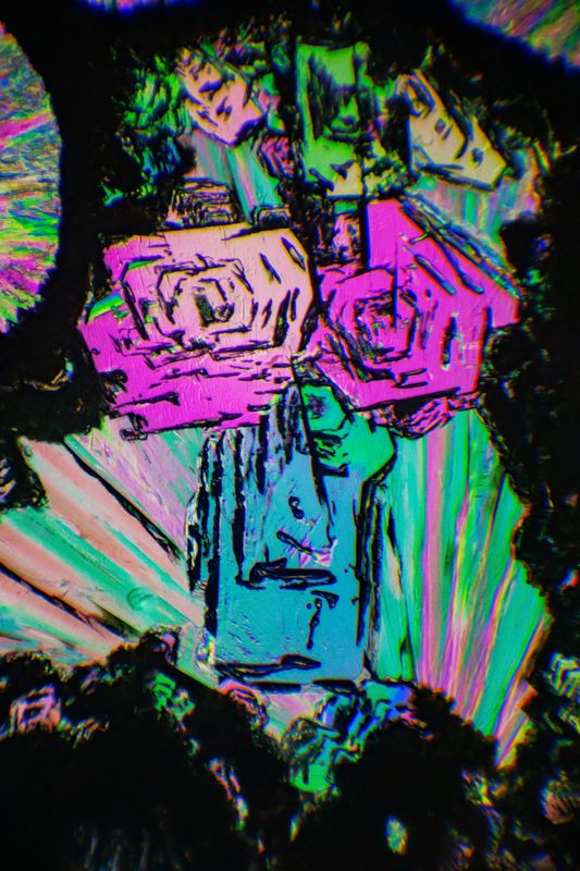 Citric acid under a microscope фото превью