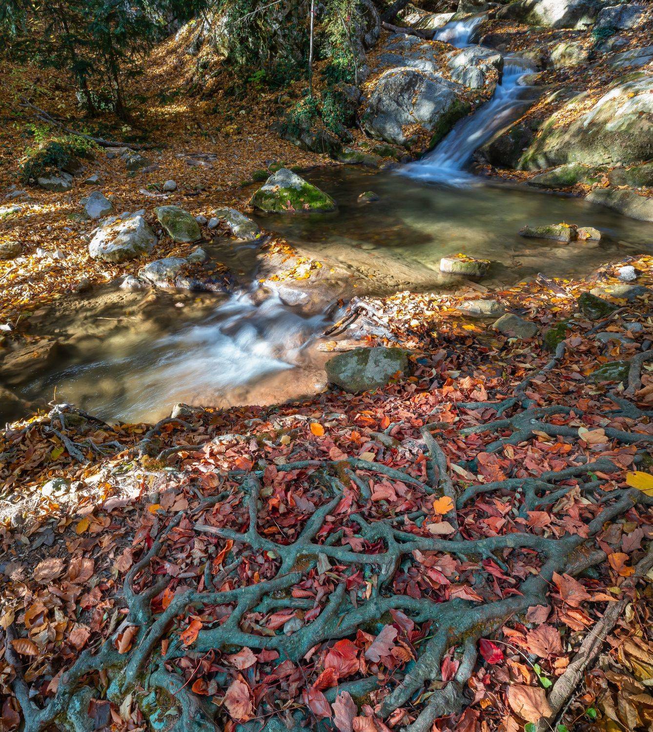 , Кабанов Дмитрий