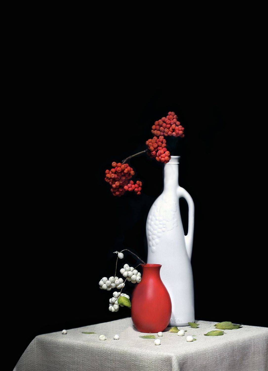 , Ольга Заболотская