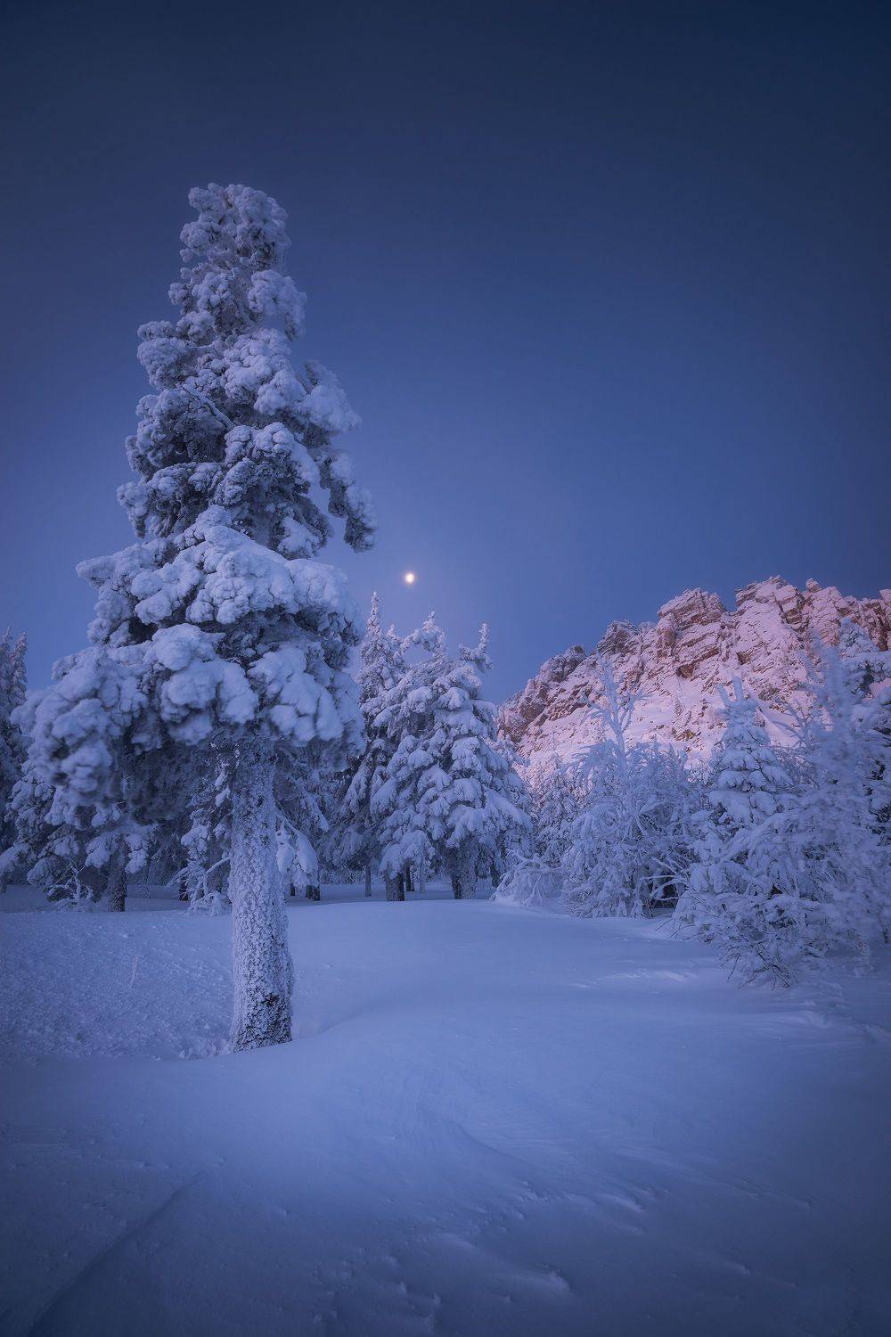 , Алексей Козаченко