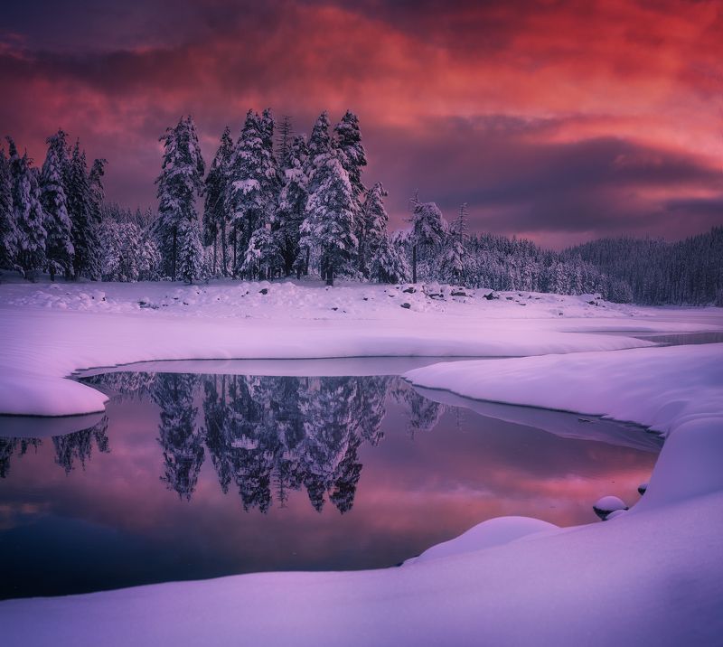 *** фото превью