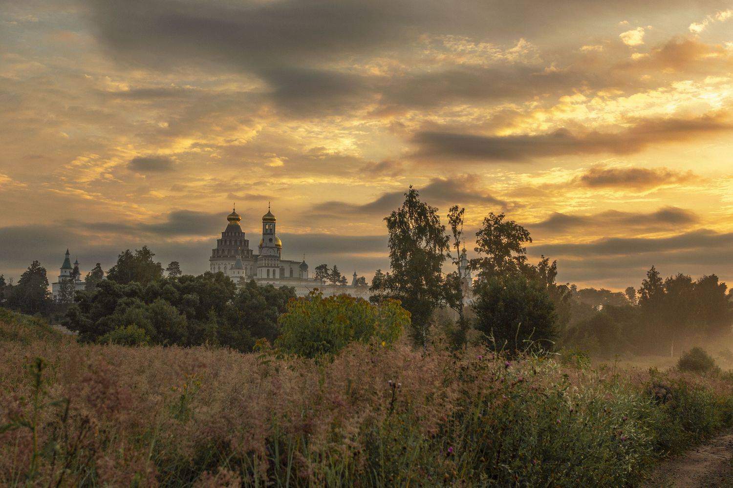 Московская область, Елена Гусева