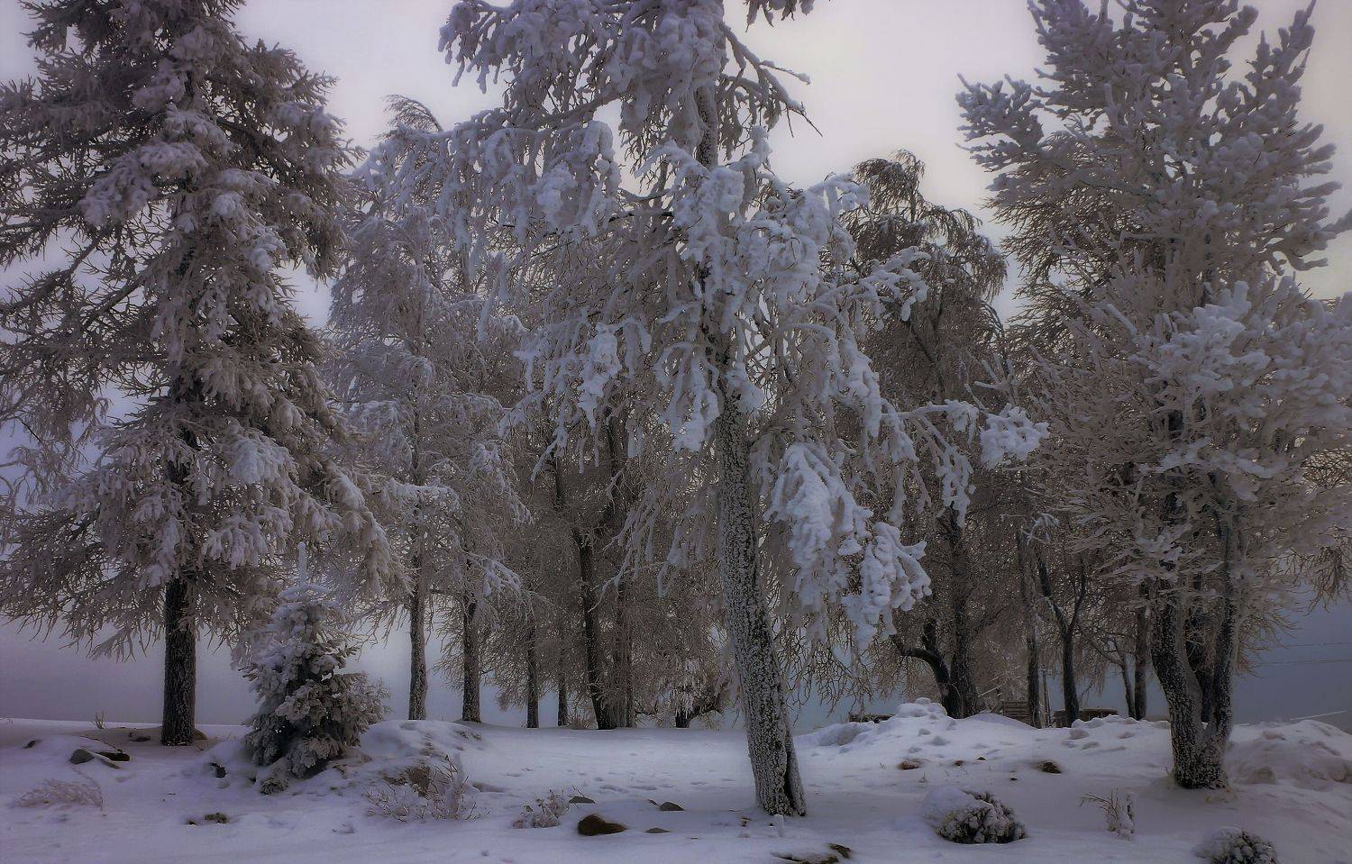 , Сергей Марков