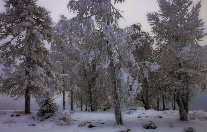 Зимушка... фото превью