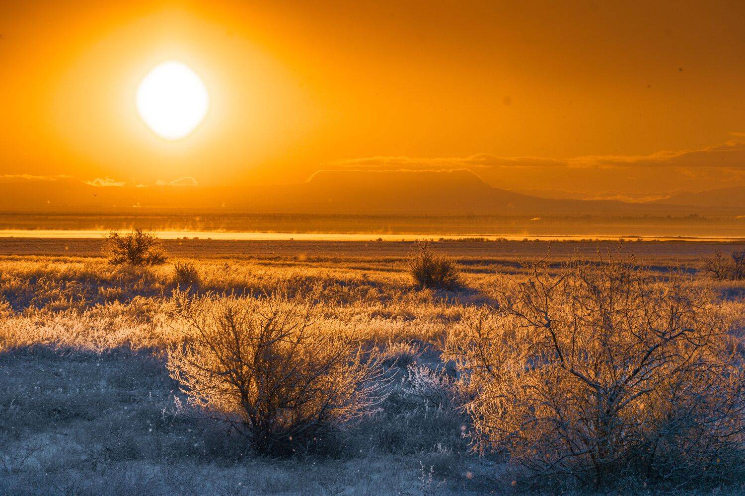 , Андрей Кривцов