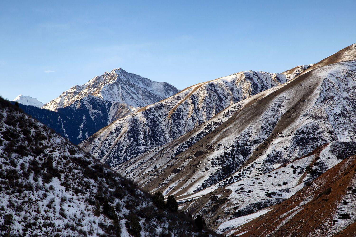 кыргызстан, горы, Элина Магалимова