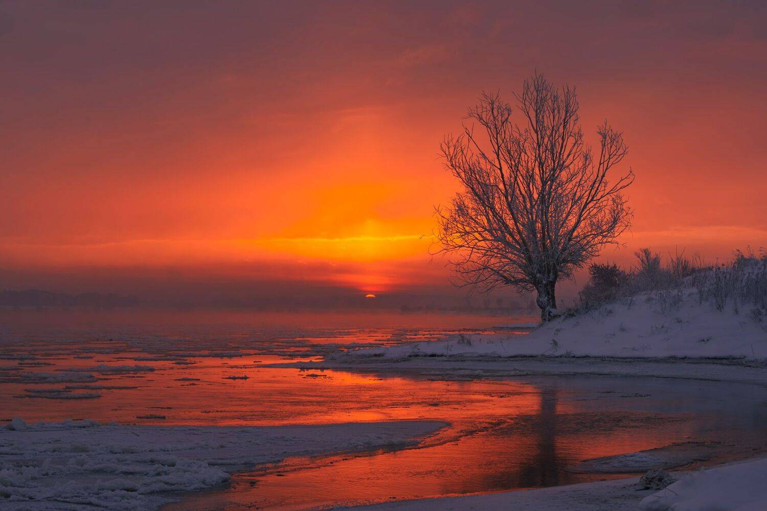 winter, landscape, sun, sunrise, river, Poland, Kociewie, water, snow, frost,, Roman Hudzik