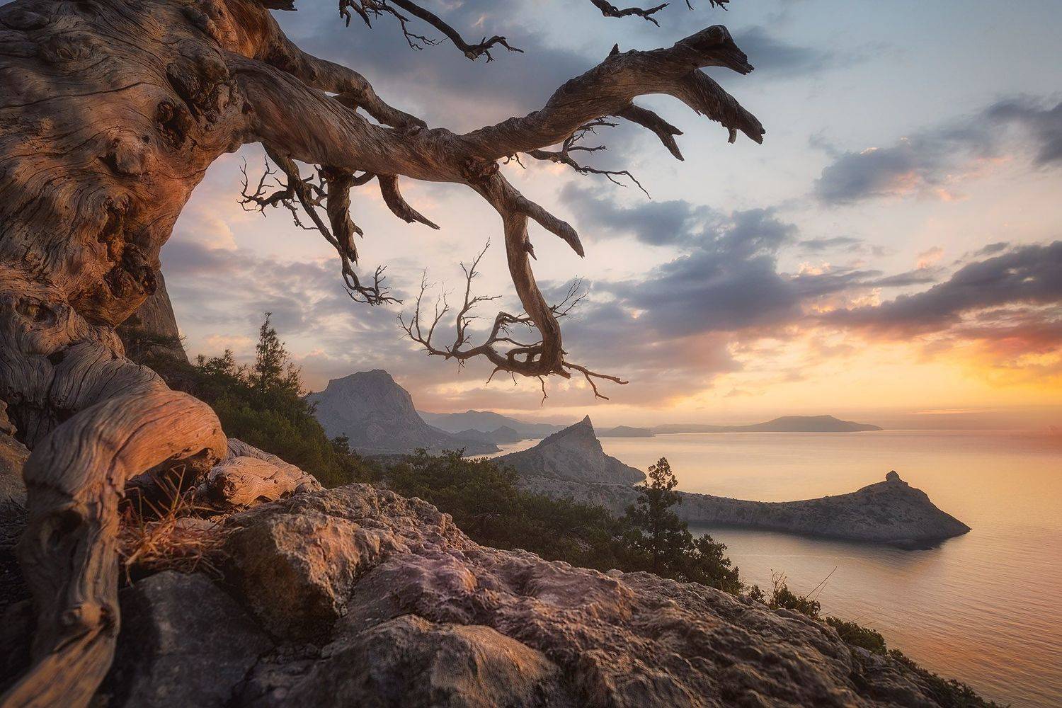 , Александр Костенко