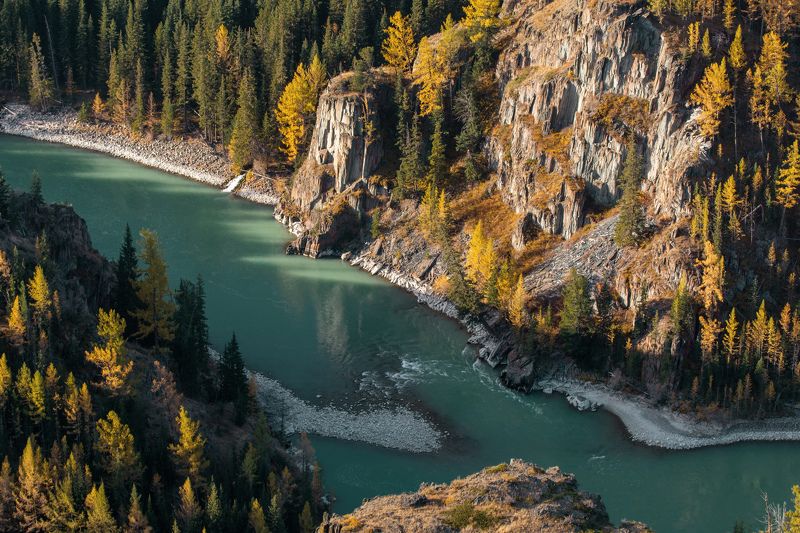 алтай,горы,аргут,осень скалистые берега Аргут фото превью