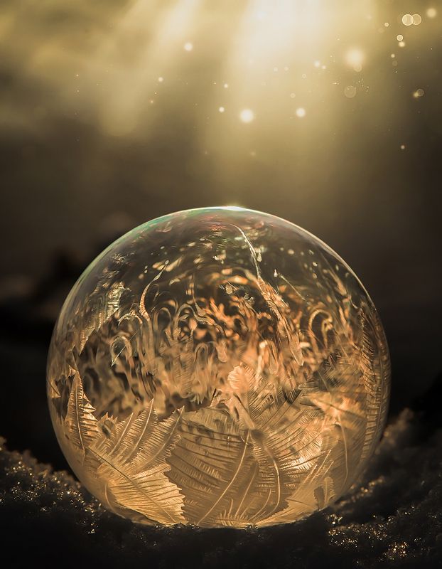 Winter фото превью