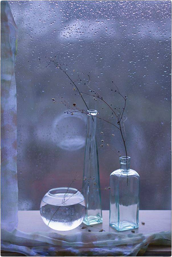 , Stein Georg