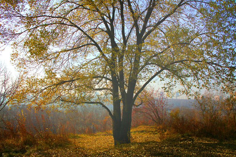 осень, октябрь ** фото превью