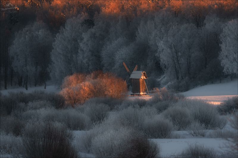 пушкинские горы, псковская область, зима, савкино, михайловское, тригорское, петровское, бугрово, пушкин Зимний сон .. фото превью