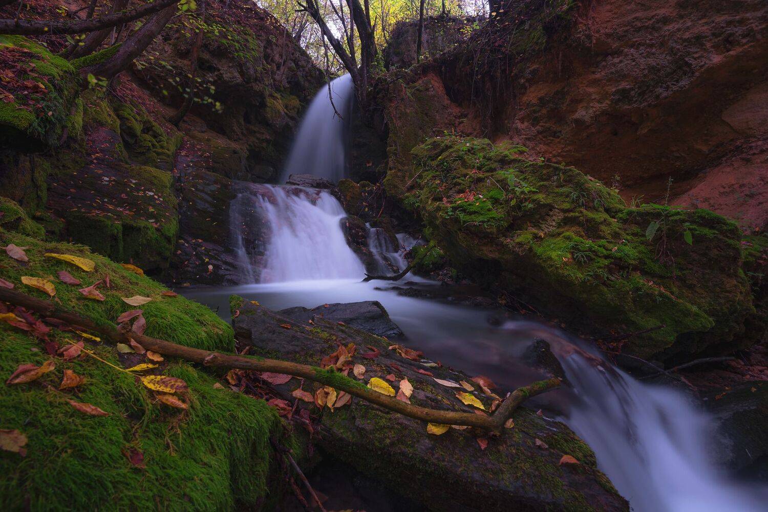 , Mariyana Atanasova - Lucero