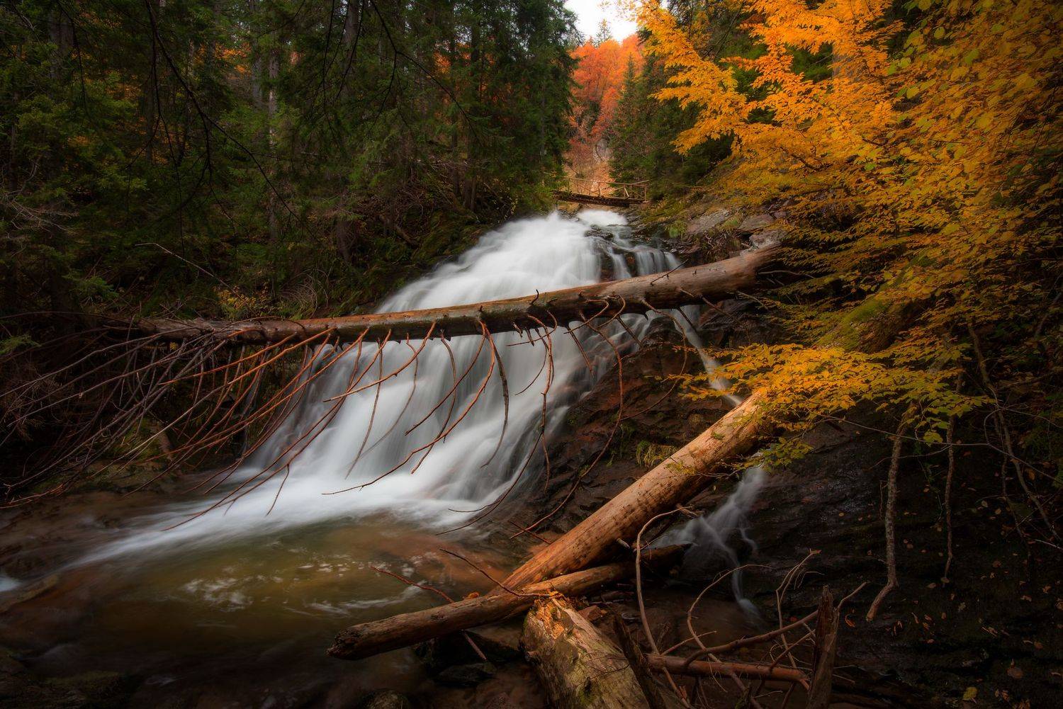 , Mariyana Atanasova - Lucero