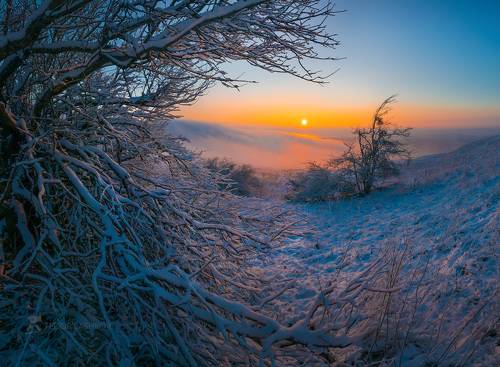 Серия «Тёплое солнце»