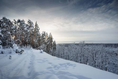 Заснеженный путь