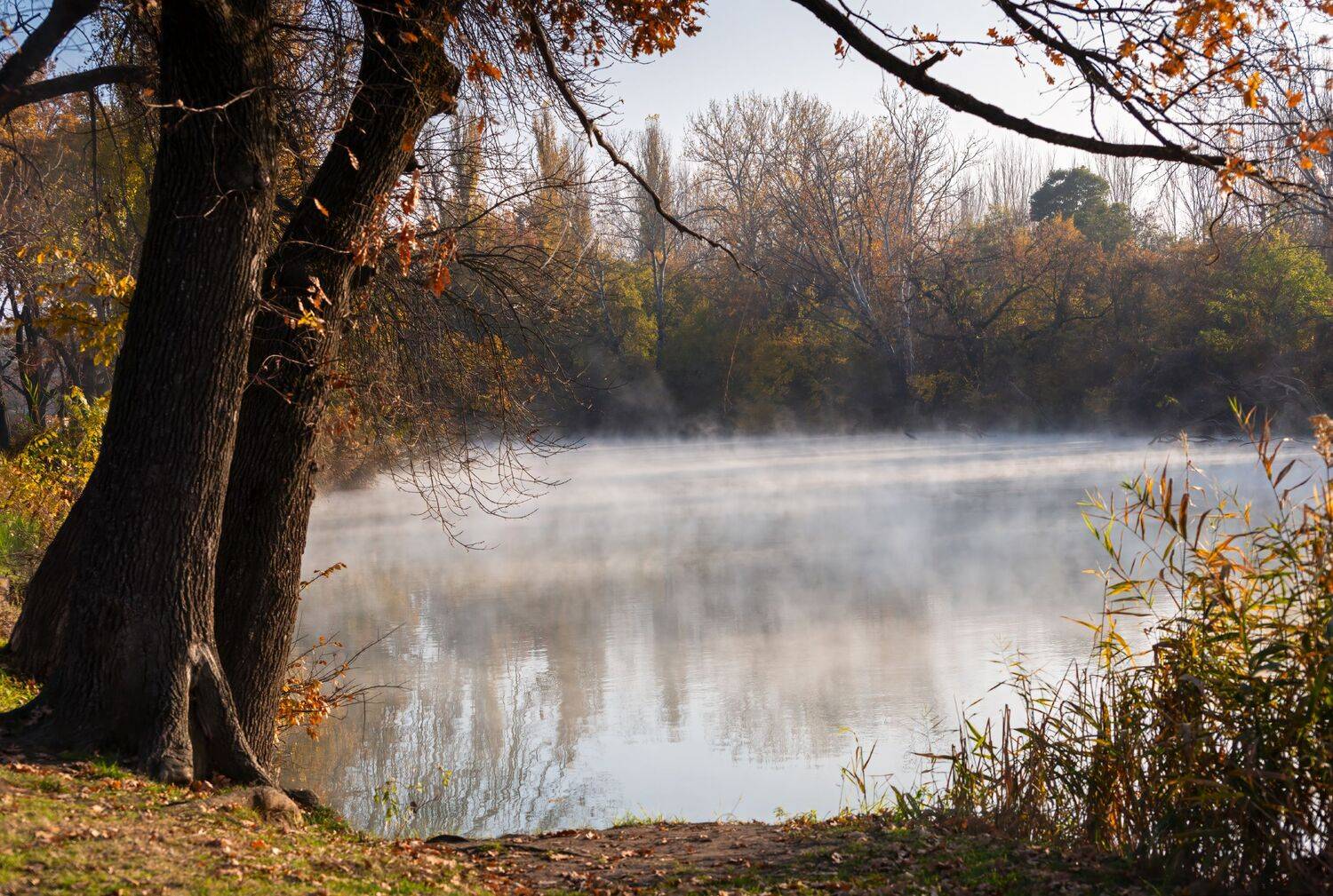 пейзаж, Алексей Рыльский
