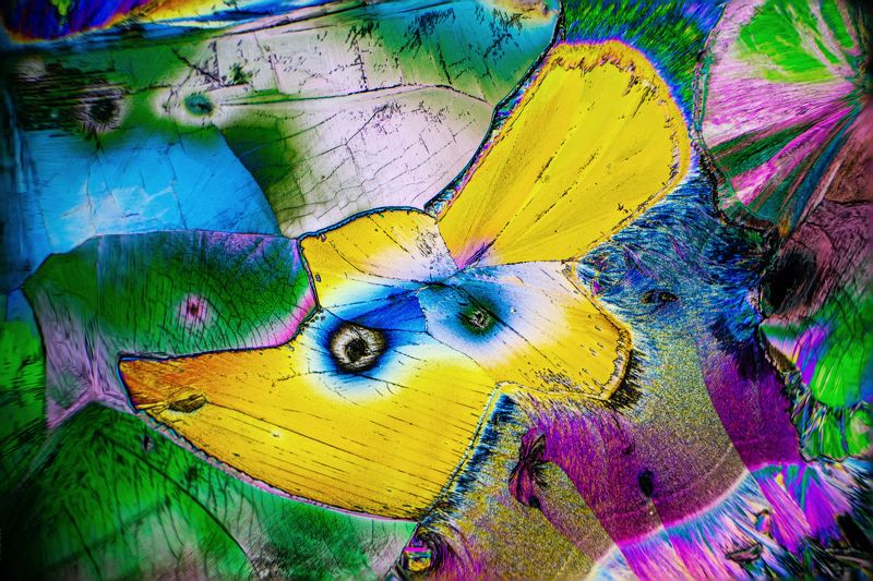 Tartaric acid under the microscope фото превью