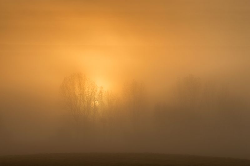 .... фото превью