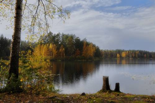 Осенний дождь