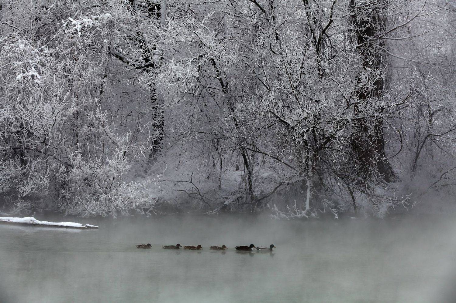 , Сергей Фудиненко