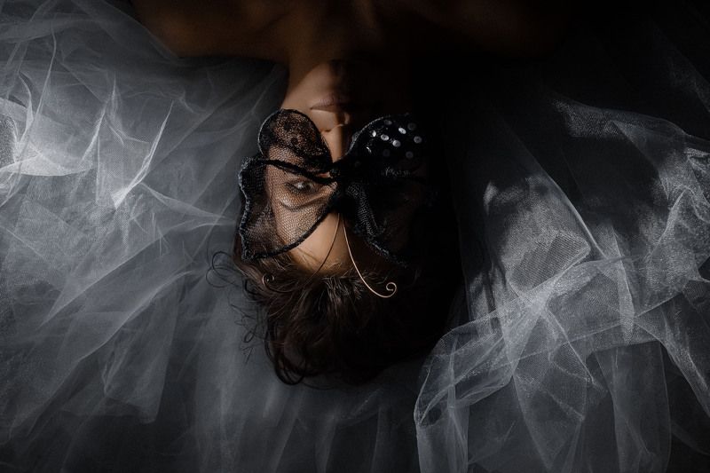 бабочка фото превью