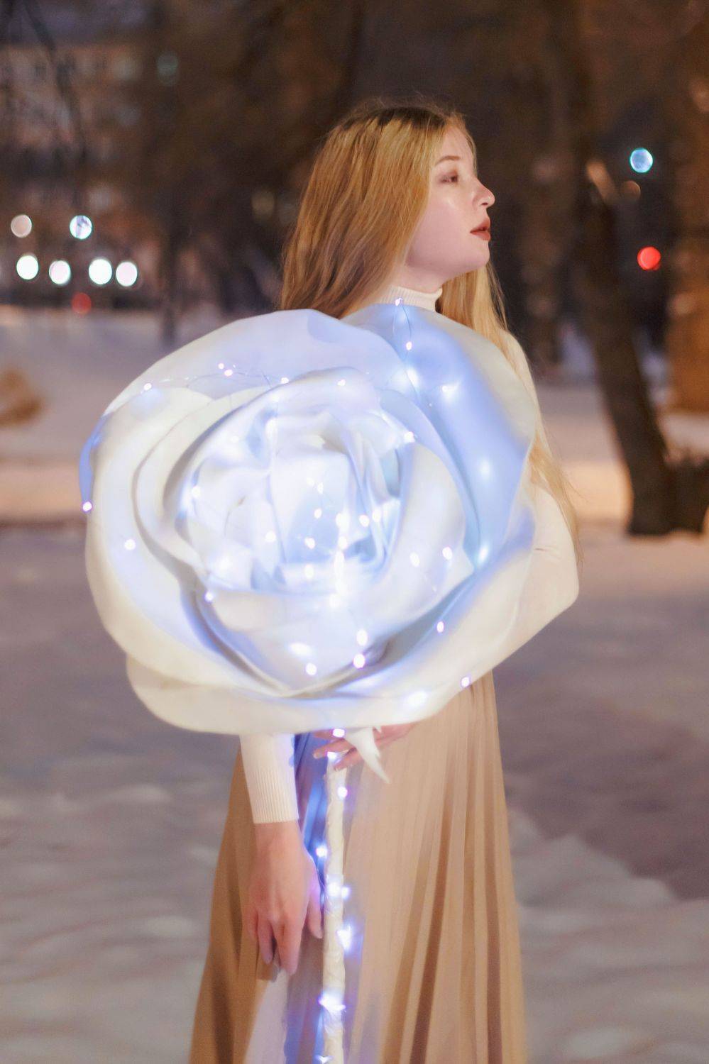 , Marie Dashkova