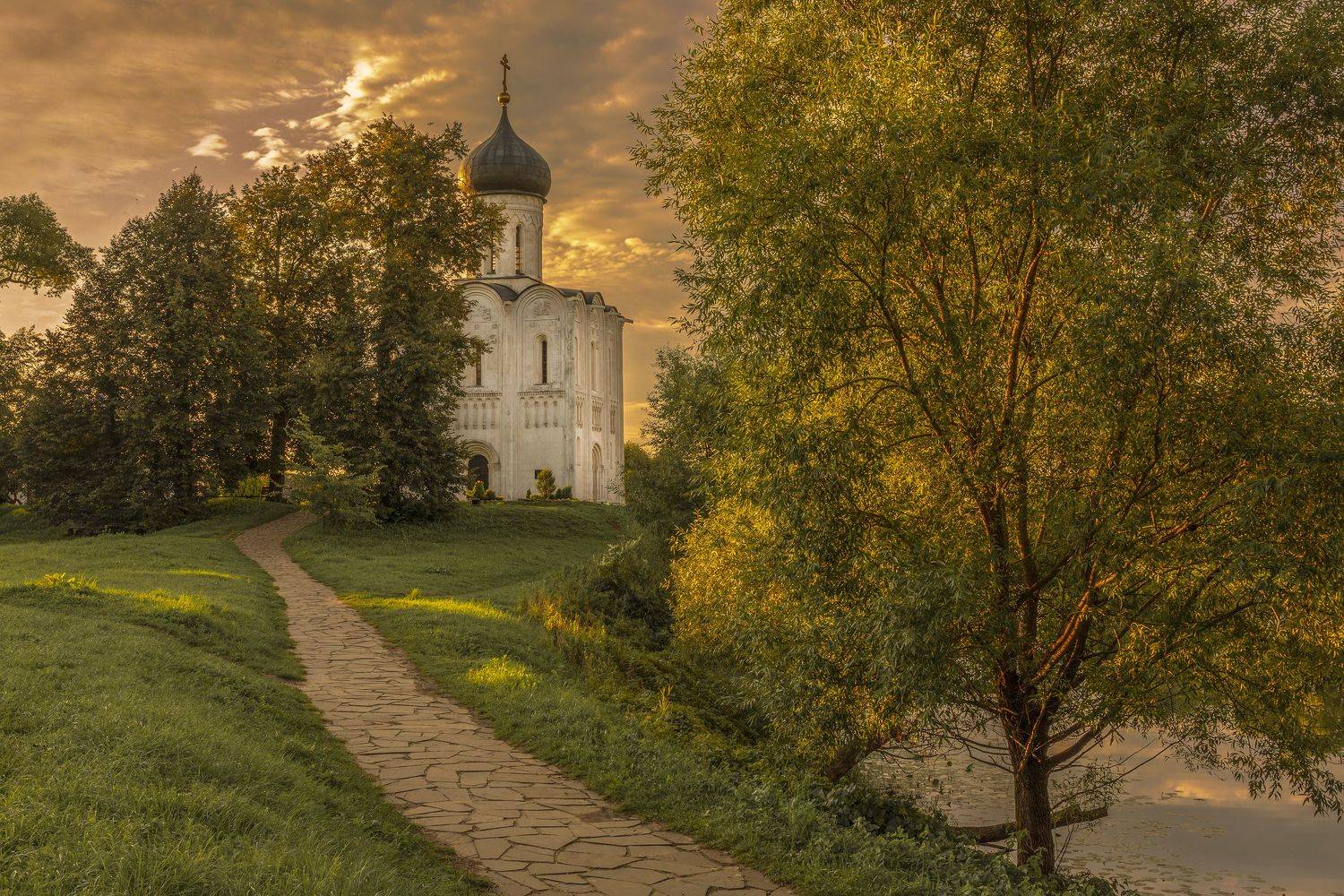 Владимирская область, Елена Гусева