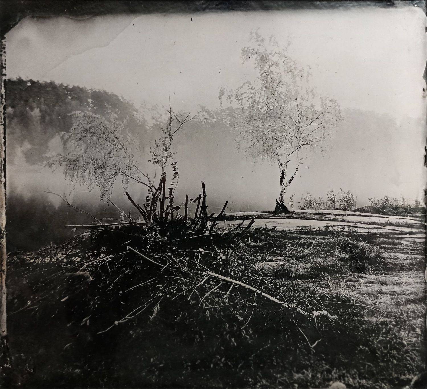 амбротип,  плёнка, средний формат, пейзаж, большой формат., Сергей Кондрюк