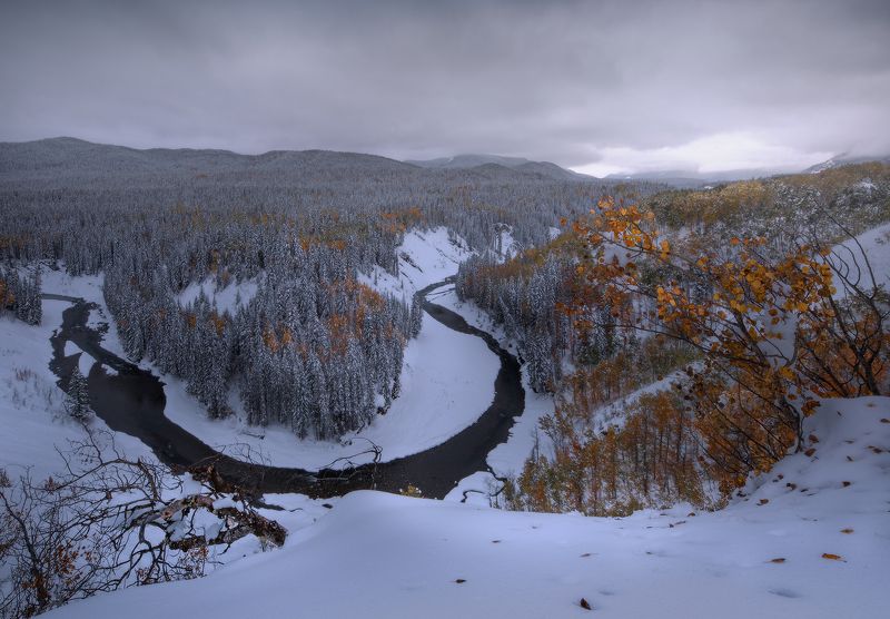 ПОСЛЕДНИЕ ЛИСТЬЯ фото превью