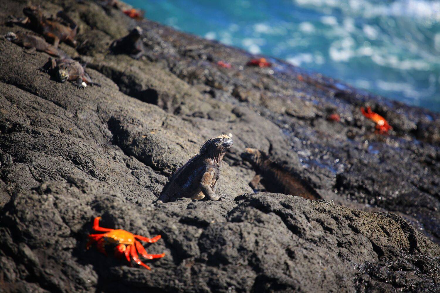 , Худзинская Ирина