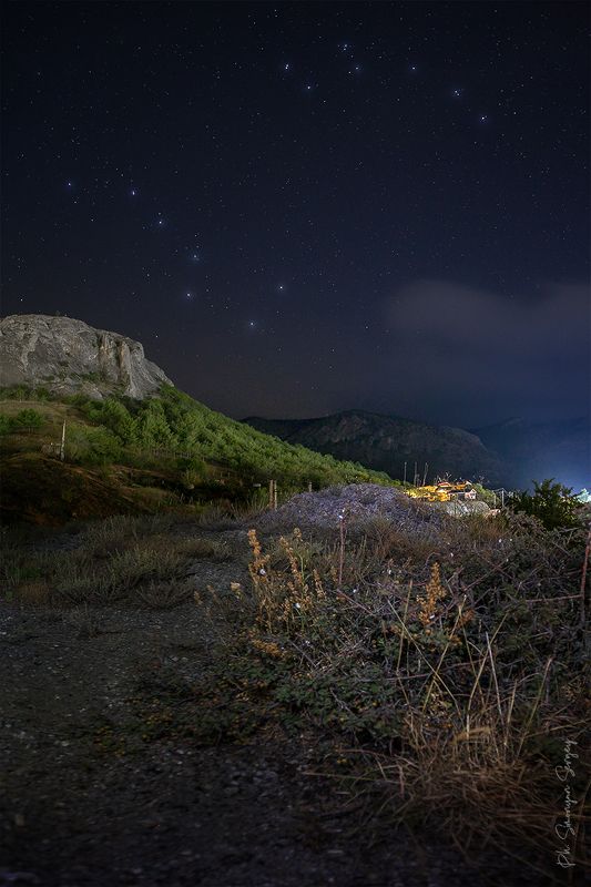 Медведица и Умка фото превью