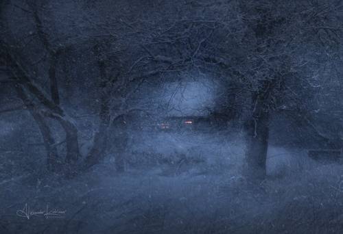 Снежный вечер...