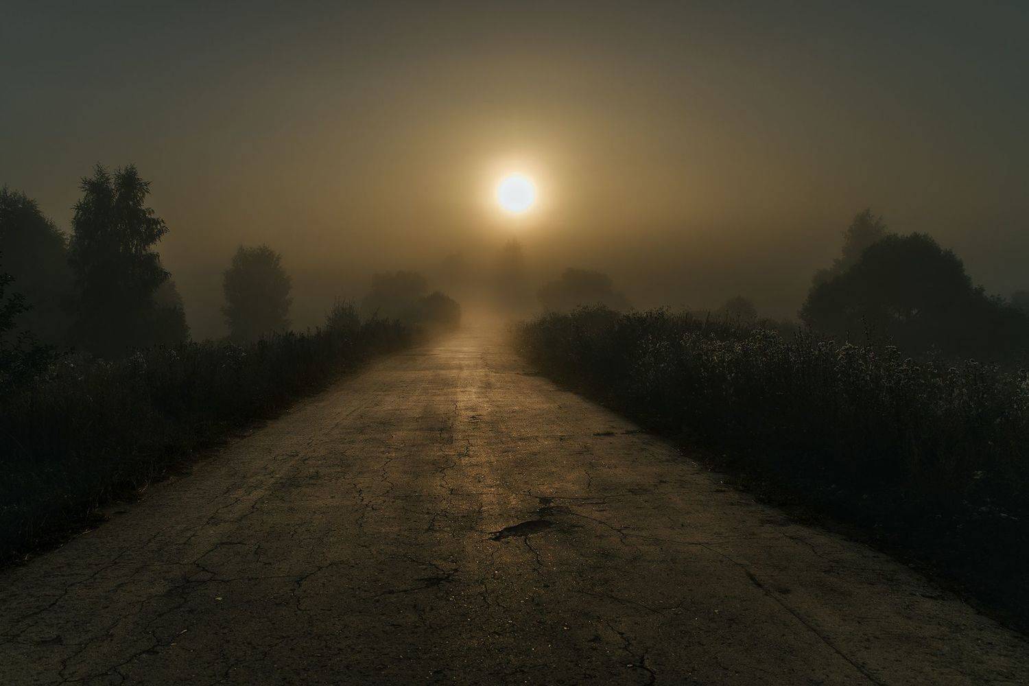 , Евгений Козлов