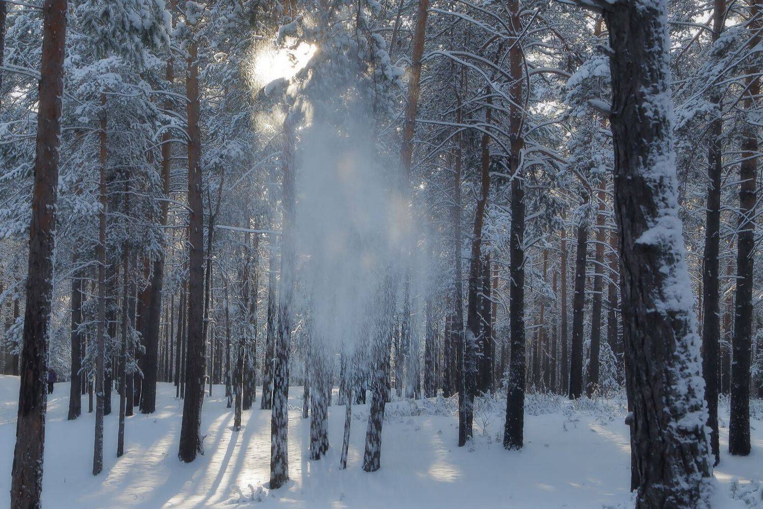 , Евгений Зинов