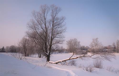 Зимний день