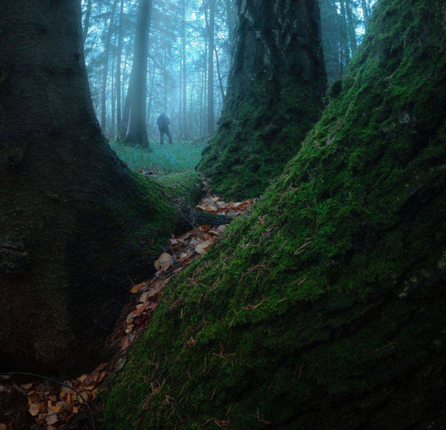 пейзаж, природа, nature, landscape, Семён Кузнецов