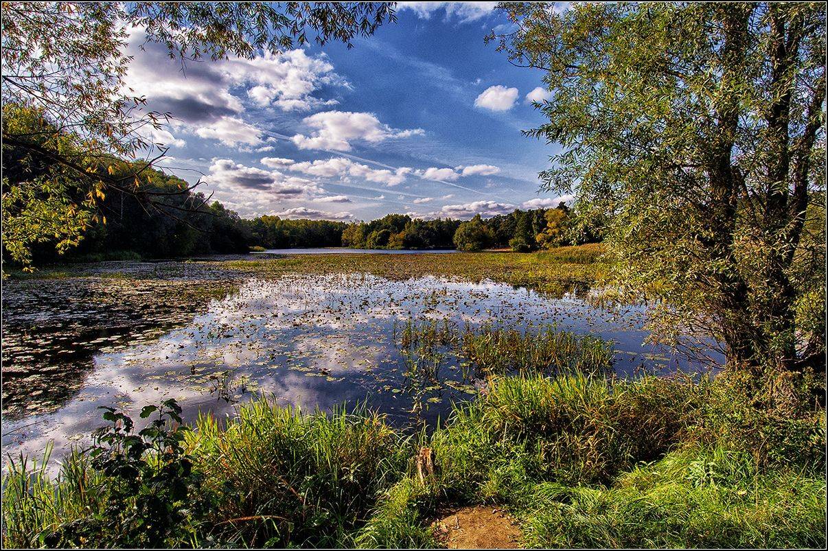москва, осень, озеро, лес, отражение, АНАТОЛИЙ ДОВЫДЕНКО