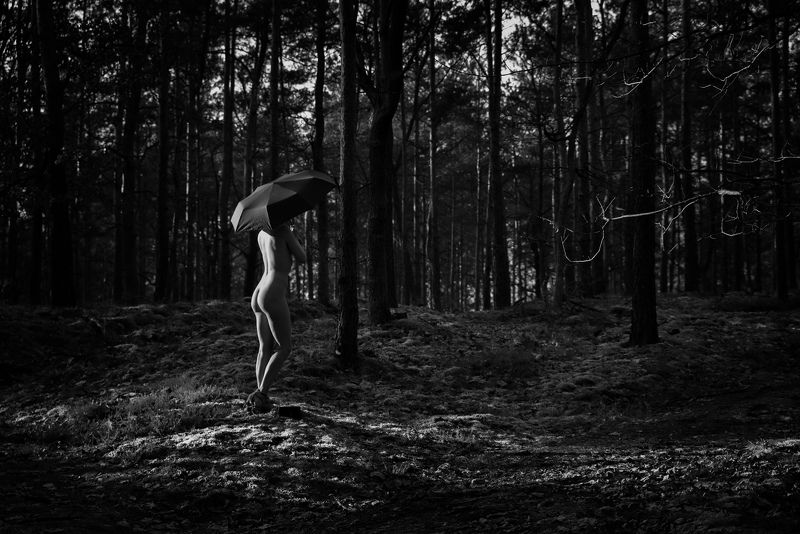 girl, woman, арт, женщина, nude, ню, девушка, модель, model, art ray of light | луч света фото превью